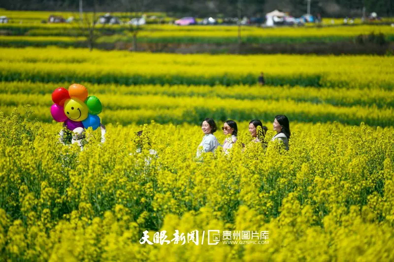 640.webp (6).png