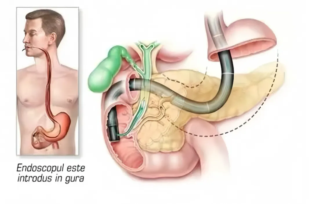 3_1758071629364868165.png 640.webp (3).png